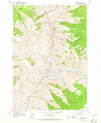 Riggins 1964 topographic map thumbnail
