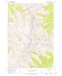 Riggins 1964 topographic map thumbnail