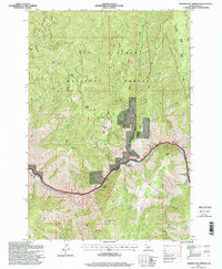 Riggins Hot Springs 1995 topographic map thumbnail