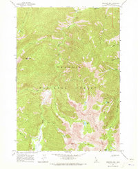 Robinson Bar 1964 topographic map thumbnail