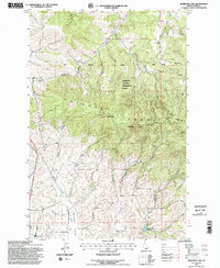 Robinson Lake 1994 topographic map thumbnail