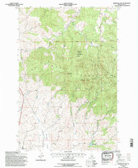 Robinson Lake 1994 topographic map thumbnail