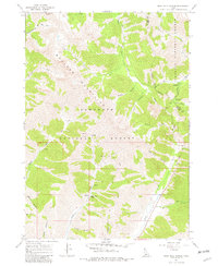 Rock Roll Canyon 1967 topographic map thumbnail