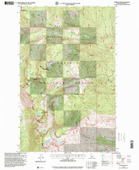 Roman Nose 1996 topographic map thumbnail