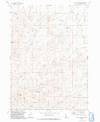 Rough Mountain 1992 topographic map thumbnail