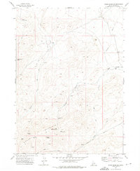 Rough Mountain 1972 topographic map thumbnail