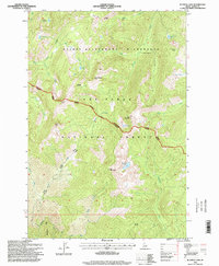 Running Lake 1995 topographic map thumbnail