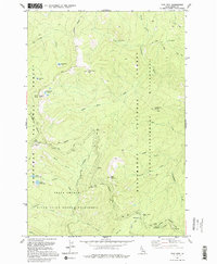 Sabe Mountain 1991 topographic map thumbnail