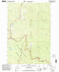 Sabe Mountain 1998 topographic map thumbnail