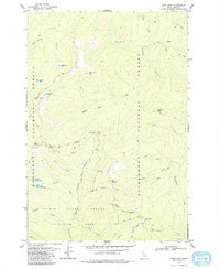 Sabe Mtn topographic map thumbnail