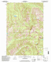 Saddle Mountain 1995 topographic map thumbnail
