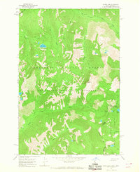Saddle Mtn. topographic map thumbnail