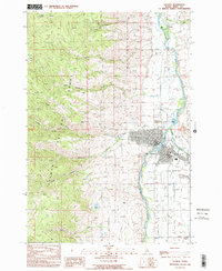 Salmon 1989 topographic map thumbnail