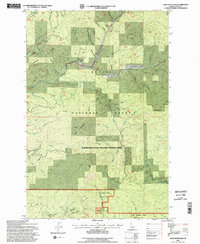 Sand Mountain 1994 topographic map thumbnail