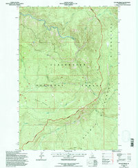 Savage Ridge 1994 topographic map thumbnail