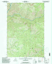 Scurvy Mountain 1994 topographic map thumbnail