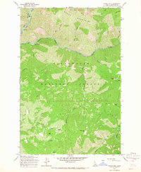 Scurvy Mtn. topographic map thumbnail