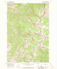 Shewag Lake 1966 topographic map thumbnail