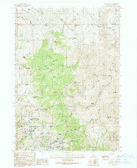 Silver City 1990 topographic map thumbnail