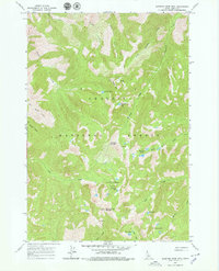 Sleeping Deer Mountain 1963 topographic map thumbnail