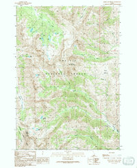 Smiley Mountain 1991 topographic map thumbnail