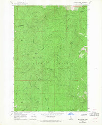 Snowy Summit 1966 topographic map thumbnail