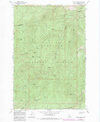Snowy Summit 1966 topographic map thumbnail