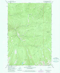 Sourdough Peak 1963 topographic map thumbnail