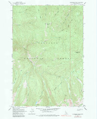 Sourdough Peak 1963 topographic map thumbnail