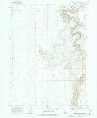 Spring Creek Basin 1973 topographic map preview