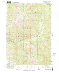 Swanholm Peak 1972 topographic map thumbnail