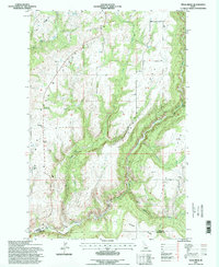 Texas Ridge 1994 topographic map thumbnail