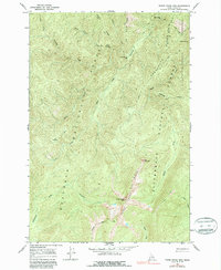 Three Prong Mountain 1966 topographic map thumbnail