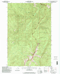 Three Prong Mountain 1995 topographic map thumbnail