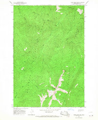 Three Prong Mountain 1966 topographic map thumbnail