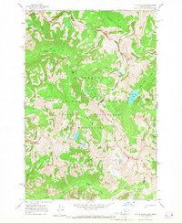 Tin Cup Lake 1964 topographic map preview