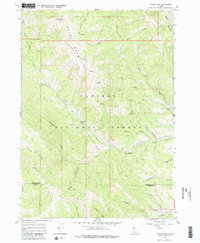 Tincup Mtn 1966 topographic map thumbnail
