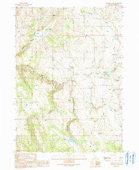Triangle Flat 1990 topographic map thumbnail