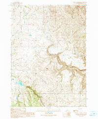 Triangle Reservoir 1990 topographic map preview