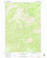 Trinity Mtn 1964 topographic map preview