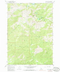 Trinity Mtn 1964 topographic map thumbnail
