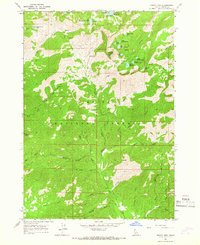 Trinity Mtn 1964 topographic map thumbnail
