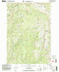 Tripod Peak 2004 topographic map thumbnail