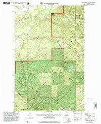 Twentymile Creek 1996 topographic map thumbnail