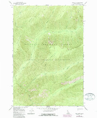 Twin Butte 1966 topographic map thumbnail