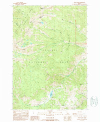 Twin Peaks 1989 topographic map thumbnail
