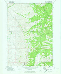 Twin Sisters 1970 topographic map thumbnail