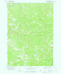 Tyee Mountain 1972 topographic map thumbnail