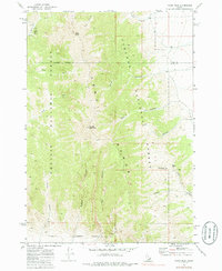 Tyler Peak 1969 topographic map thumbnail
