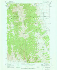 Tyler Peak 1969 topographic map thumbnail